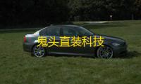 鬼头直装科技